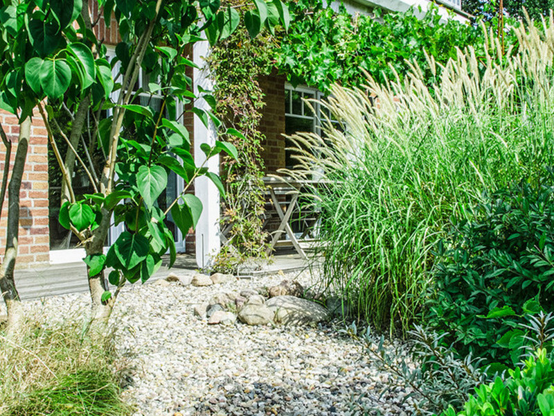 Un jardin adapté à toutes les conditions climatiques ? 5 conseils pour le réaliser !