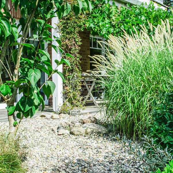 Un jardin adapté à toutes les conditions climatiques ? 5 conseils pour le réaliser !